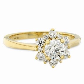 18ct Yellow Gold Delight Lady Round Brilliant Cut Diamond Cluster Ring texture-diamond  