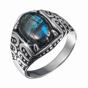 Arctic Edge Labradorite Men's Ring 