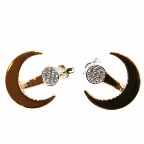 Armani Ladies Earrings Sterling Silver With Zircon, Two-Color Rosegold & Silver, 2 Way Earring 