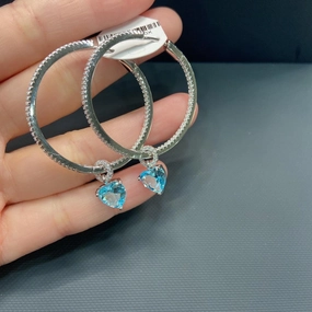 Blue Haoshi Shining Diamonds 925 Sterling Silver Fashion Versatile Girls' Feeling Earrings 
