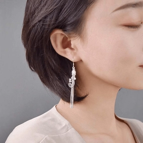 Fashion Earrings 