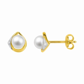 Fontenay Paris Women's Gold Plated Earrings with Zirconia fashion-jewelry  