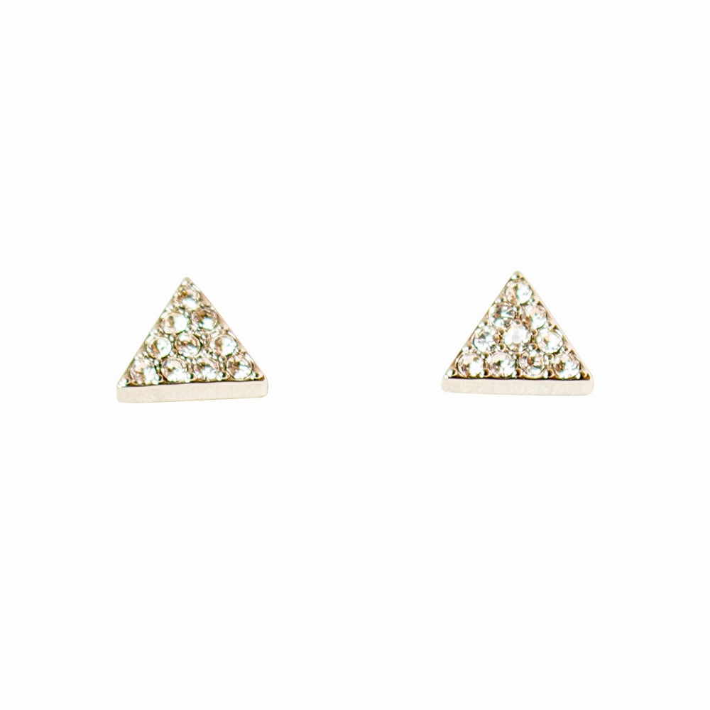 Fossil Earrings Simple Jacket Silver With Zircon 