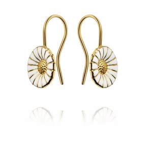 Gold Plated Silver Daisy Earhooks texture-silver-ornament  