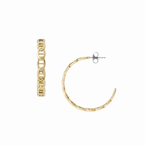 Heritage D-Link Gold-Tone Stainless Steel Hoop Earrings fashion-jewelry  