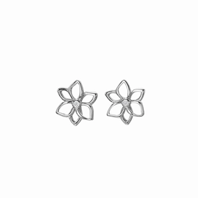 Hot Diamonds Amulets Flower Earrings DE711 ear-earrings  