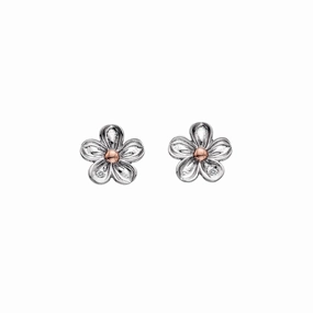 Hot Diamonds Forget Me Not Stud Earrings DE618 ear-earrings  