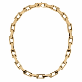 Insignia Golden Necklace 