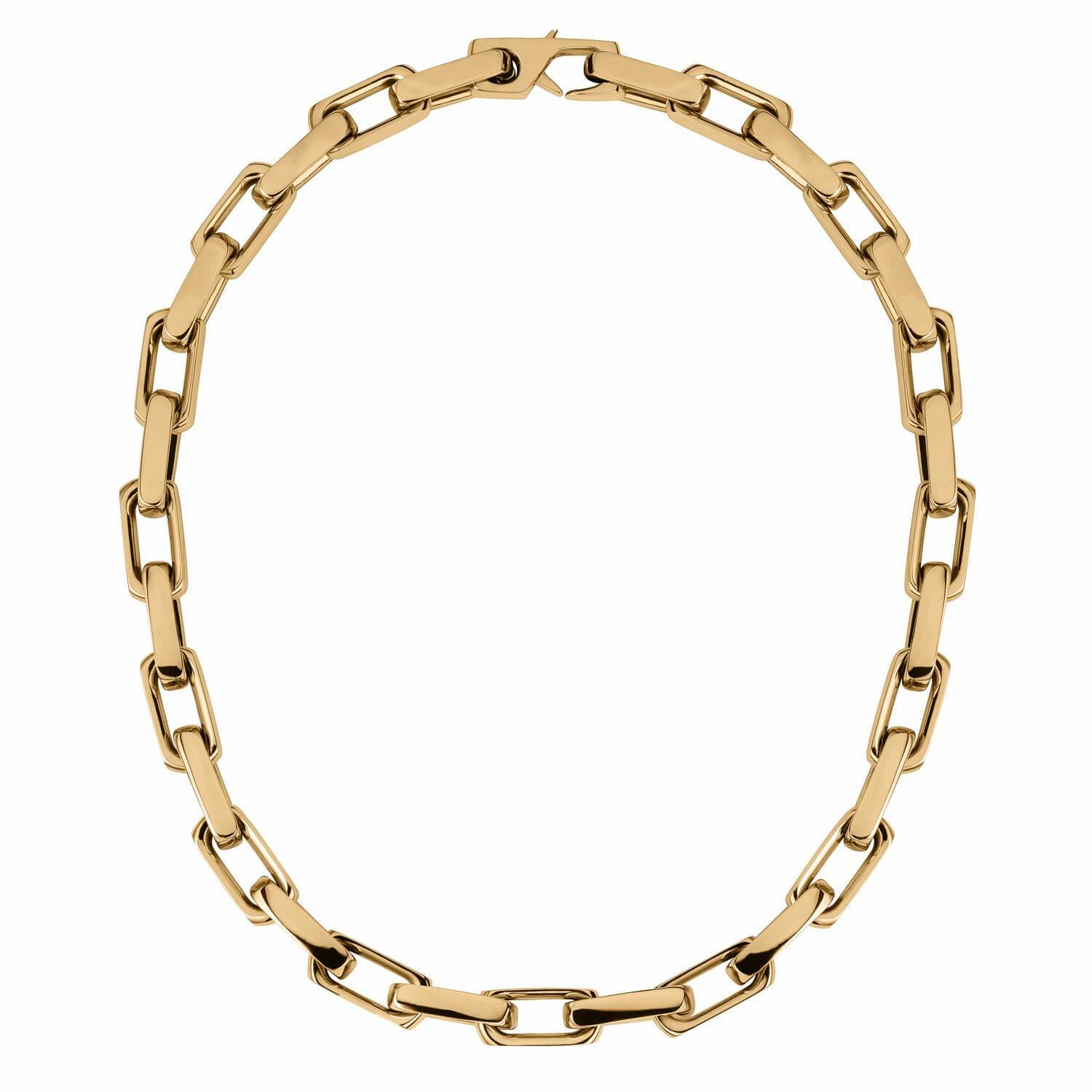Insignia Golden Necklace 