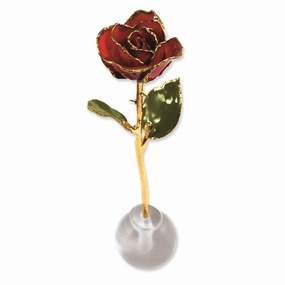 Lacquer Dipped Gold Trim Knob Stand Red Spring Rose Set suit-set  