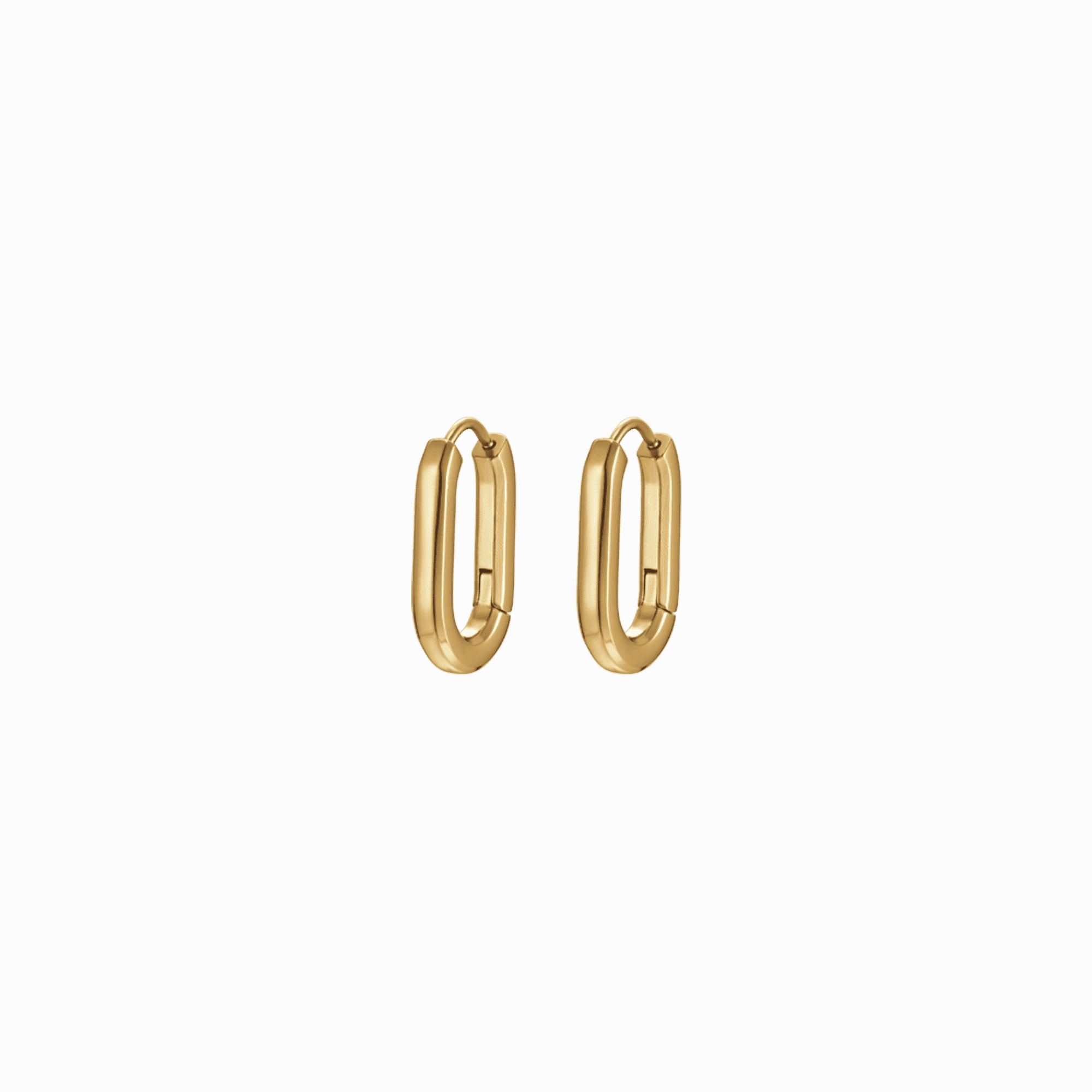 Luca Barra Ladies Earrings in IP Gold Steel fashion-jewelry  