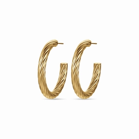 Luca Barra Ladies Earrings With IP Gold Steel Circles 