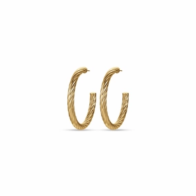 Luca Barra Ladies Earrings With IP Gold Steel Circles 