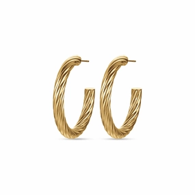 Luca Barra Ladies Earrings With IP Gold Steel Circles fashion-jewelry  