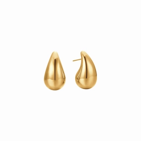 Luca Barra Ladies IP Gold Steel Earrings 