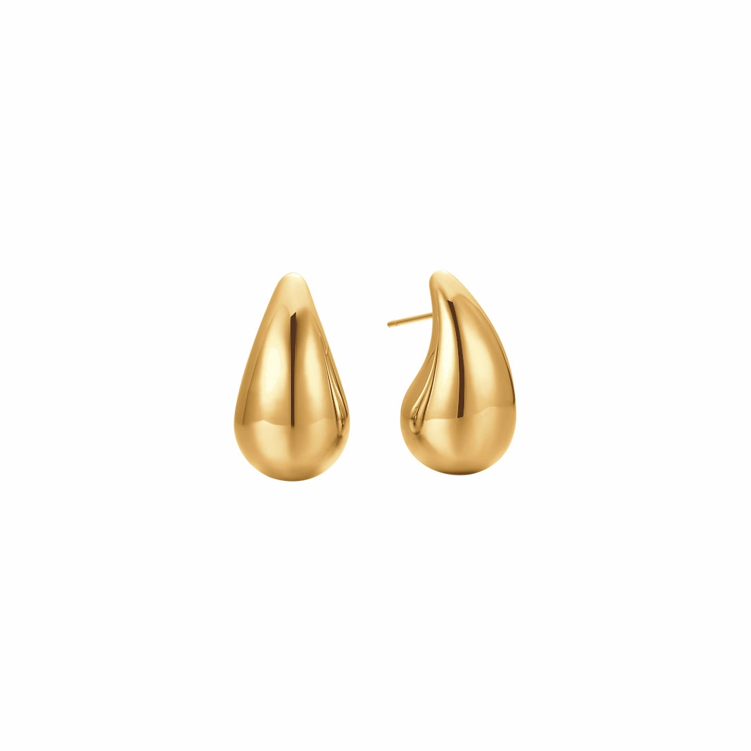 Luca Barra Ladies IP Gold Steel Earrings 