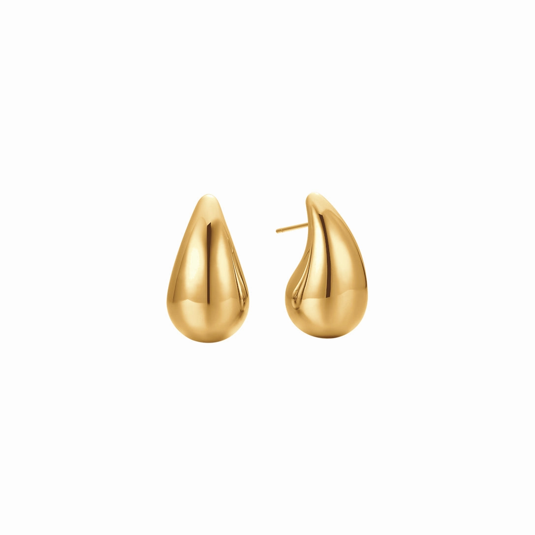 Luca Barra Ladies IP Gold Steel Earrings fashion-jewelry  