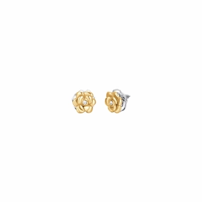 Luca Barra Ladies IP Gold steel earrings with rotating rose fashion-jewelry  