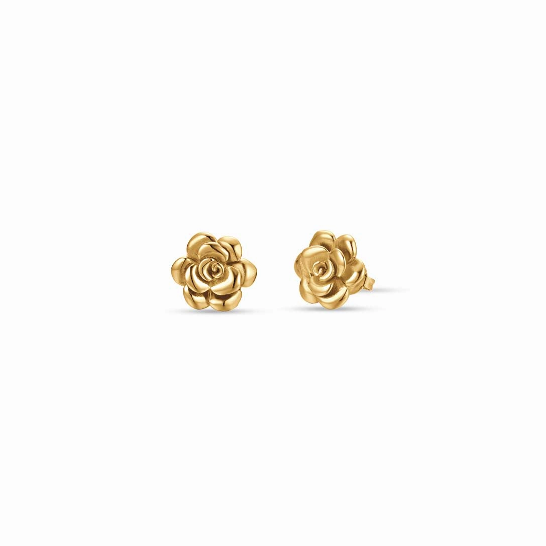 Luca Barra Ladies Steel earrings with IP gold rose fashion-jewelry  