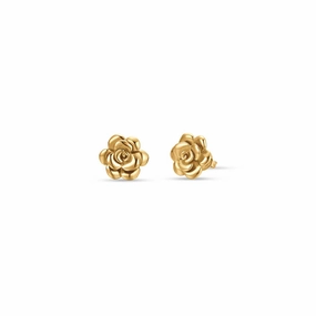 Luca Barra Ladies Steel earrings with IP gold rose fashion-jewelry  