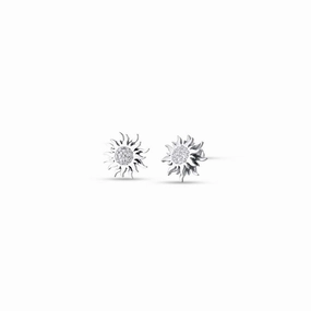 Luca Barra Ladies Steel Earrings with Rotating Sun 
