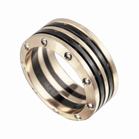 Men's Evolution Ring 