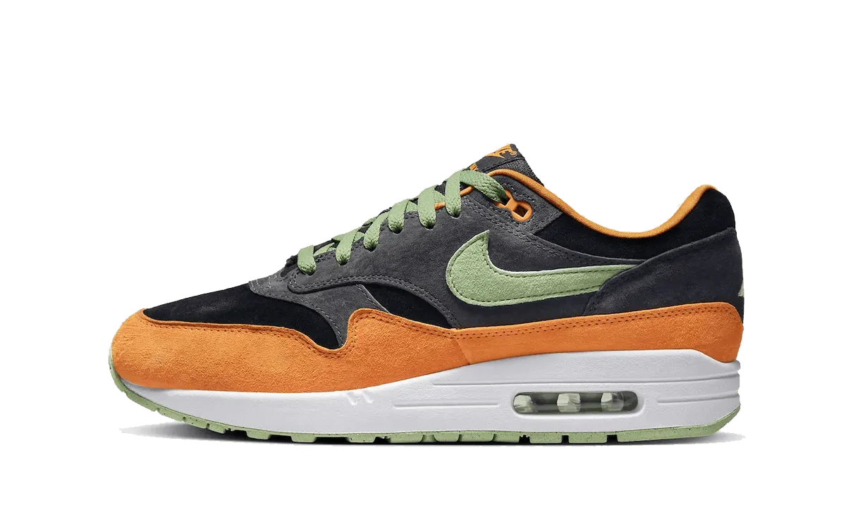 Nike Sneakers Air Max 1 Ugly Duckling ‘Honigtau’