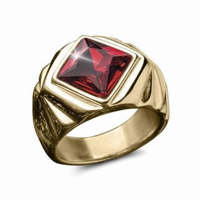Obsedia Men's Ring 