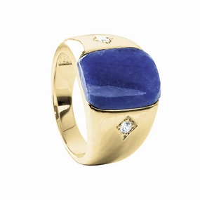 Phoenix Men's Ring 