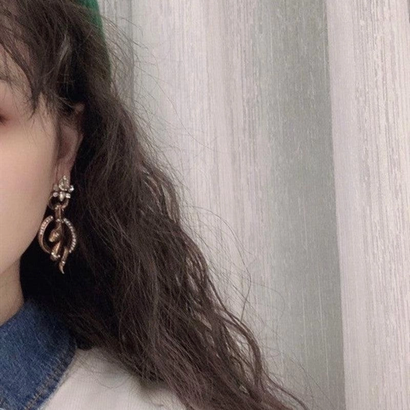 Retro Earrings Exaggerate The Temperament Of Court Snake Print