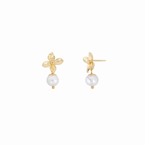 Shashi Baby Fiorina Stud Earring Vermeil on Sterling Silver fashion-jewelry  