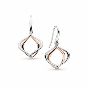 Silver & Rose Gold Plated Alicia Grande Drop Earrings texture-silver-ornament  
