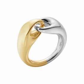 Silver and 18ct Yellow Gold Reflect Large Link Ring texture-silver-ornament  