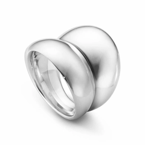 Silver Curve Ring texture-silver-ornament  