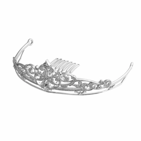 Silver CZ Tiara texture-silver-ornament  