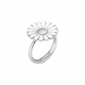 Silver Daisy Ring texture-silver-ornament  