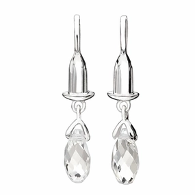 Silver Earring Bead Drops - Clear Briolette texture-silver-ornament  
