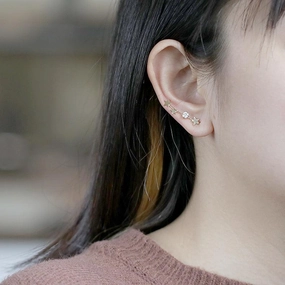 Silver Plated Earrings Fashion Piece 