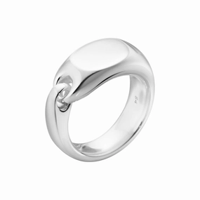 Silver Reflect Signet Ring texture-silver-ornament  