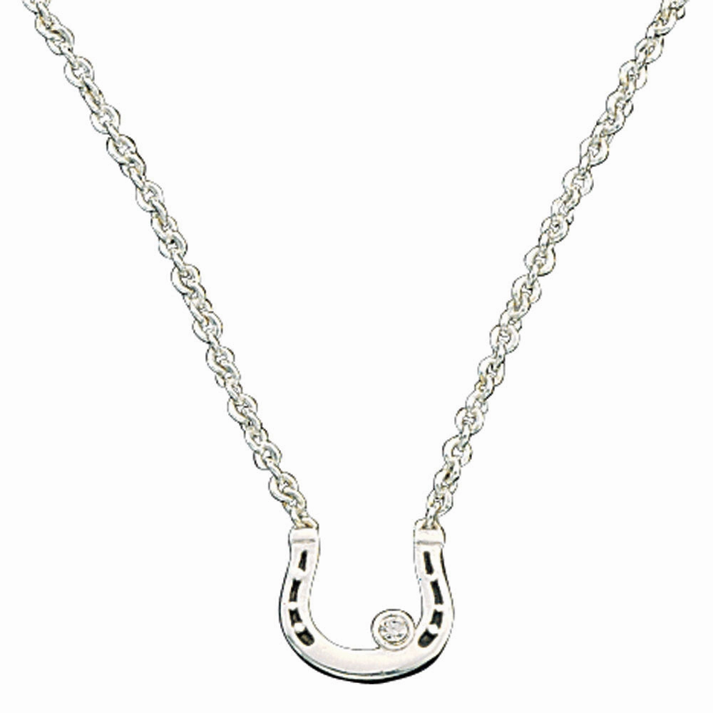 Small Horseshoe with Crystal Necklace texture-rose-gold  