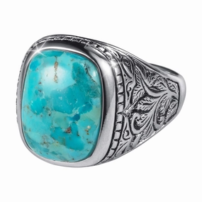 Spirit Of The Southwest Men's Ring 