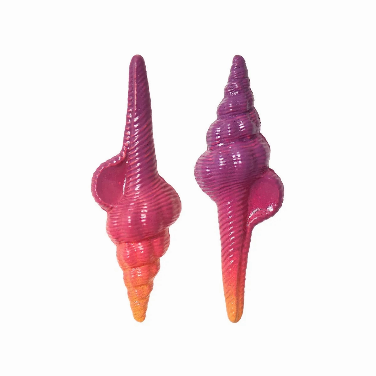 Sunset Shell Earrings