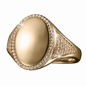 Vigar Halo Men's Ring 
