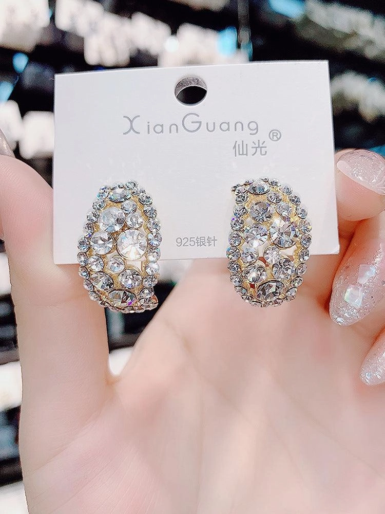 Women's Luxury Sterling Silver Needle Earrings Full Of Diamonds