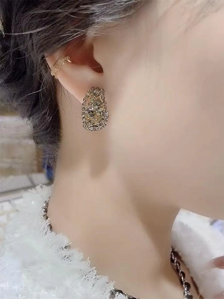 Women's Luxury Sterling Silver Needle Earrings Full Of Diamonds